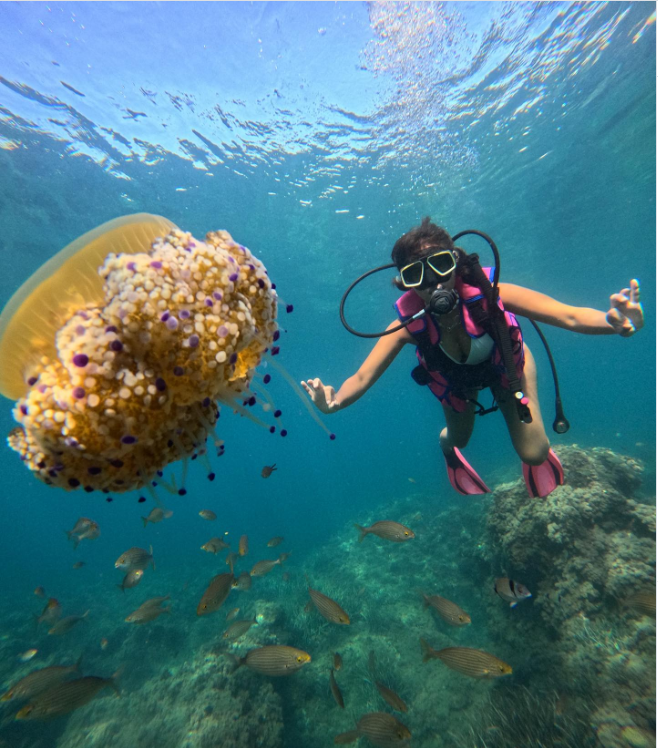 Capture d’écran 2025-12-11 130932