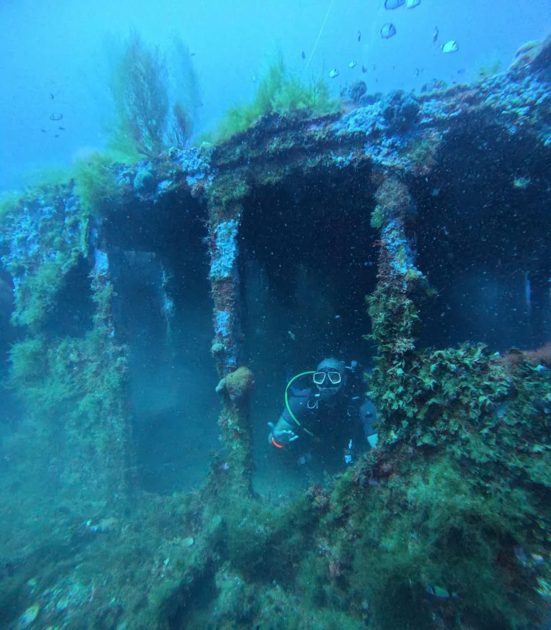 WhatsApp Image 2025-09-02 at 11.34.32 (3)